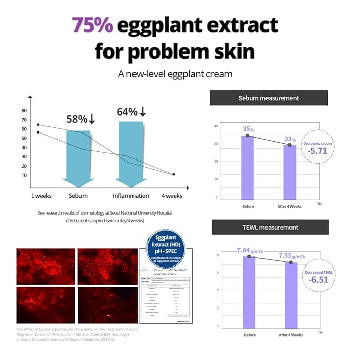 [BONAJOUR] Eggplant Daily BHA Toner & Cream Duo 7.2+1.7 fl.oz