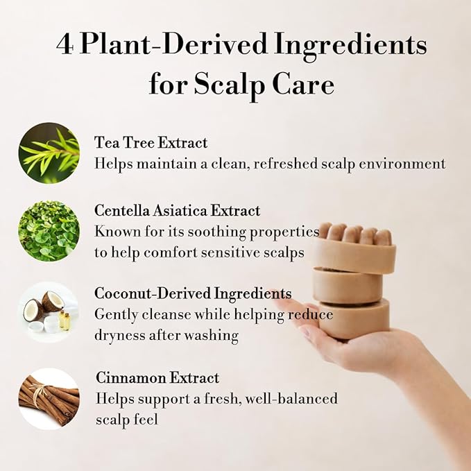 LifeCare & SafeCare Korea Natural Solid Shampoo Bar – Scalp Care Shampoo Bar for Oily Scalp, Dandruff & Itchy Scalp Relief, Sulfate Free Herbal Shampoo Bar for Healthy Hair