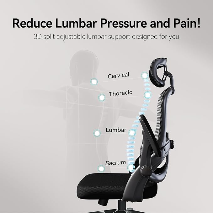 SIHOO Ergonomic Office Chair, Office Chair with Up&Down Lumbar, High Back Home Desk Chair with 3D Armrests, Computer Chair with Adjustable 2D Headrest, Tilt Function Black