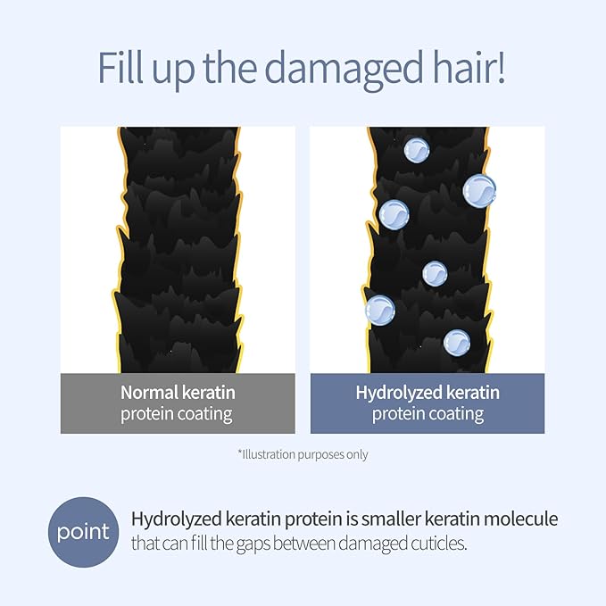 Hydrating Shampoo for Dry Hair, Nourishing Korean Hair Care, Long-Lasting White Musk Fragrance, Hydrolyzed Keratin, Paraben-Free, 16.9 fl oz