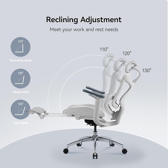 SIHOO Doro C300 Ergonomic Office Chair with Footrest, Ultra Soft 3D Armrests, Dynamic Lumbar Support for Home Office Chair, Adjustable Backrest Desk Chair, Swivel Big and Tall Computer Chair (Grey)