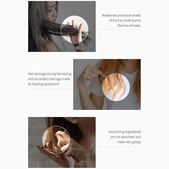 Masil 6 Salon Lactobacillus Hair Perfume Oil Dry Damaged Curly Frizzy Hair Scalp Moisture Hydrating Bouncy Hair Korean Hair Care (Hair Perfume Oil Moisture)