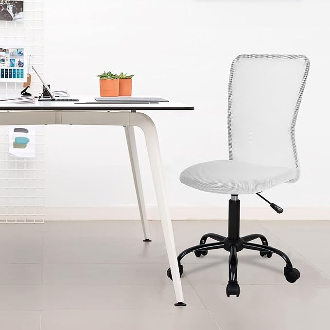 FDW Home Office Chair Mid Back Mesh Desk Chair Armless Computer Ergonomic Task Rolling Swivel Chair Back Support Adjustable Modern with Lumbar Support,White