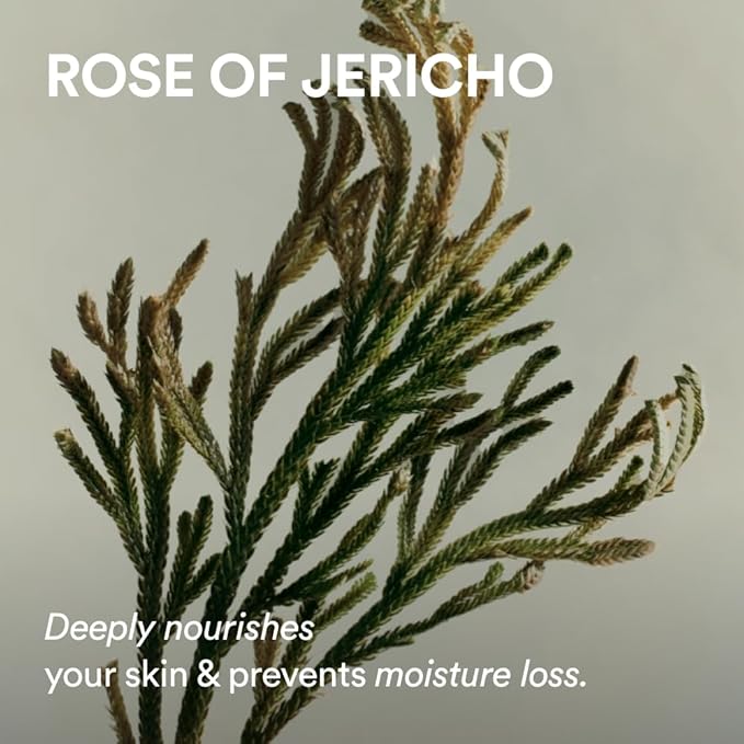 Abib Jericho Rose Skin Texture & Moisture Duo – PHA Toner + Hypoallergenic Cream for Dry Skin