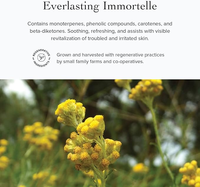 evanhealy Immortelle HydroSoul | Copper Distilled Hydrosol | Organic Facial Tonic | Face Toner for Dark Circles & Morning Eye Puffiness | Spicy Warmth, Smokey, Maple Sweet Fragrance