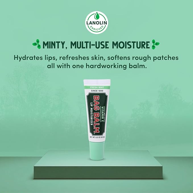 Vermont's Original Bag Balm Moisturizing Lip Balm with Vitamin E | Pack of 4 0.3oz Tubes (4 Pack, Fresh Mint)