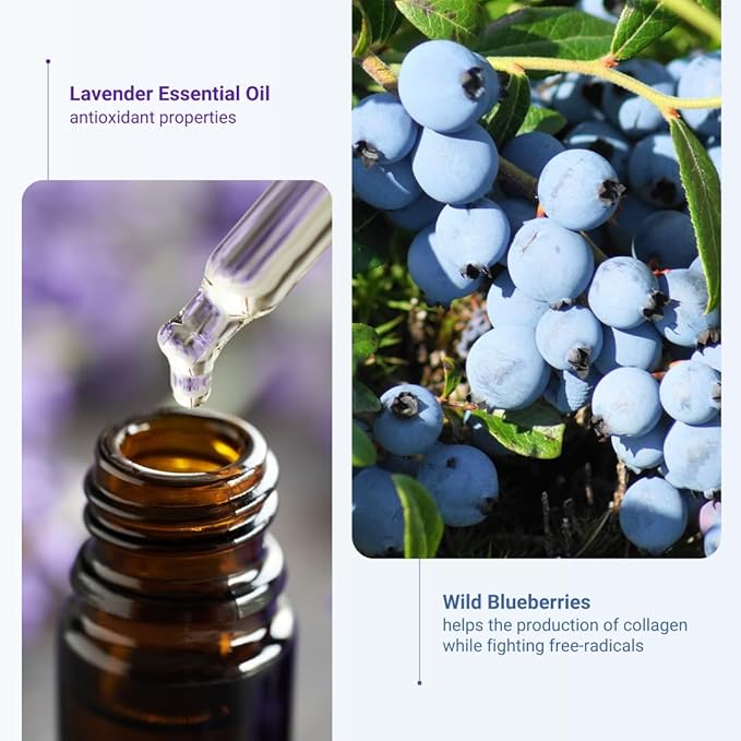 Organic Meadow Herbals Wild Blueberry Lavender Facial Mist (3.4oz) - pH Balancing Skin Prep Spray to Tone & Maintain Elasticity- USDA Certified Organic.