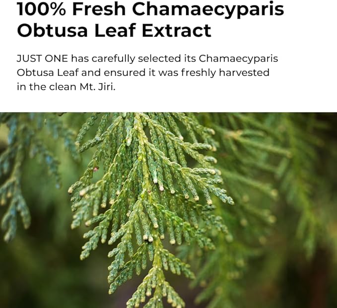 BOM Cosmetics Just One Chamaecyparis Obtusa Leaf Extract 5.07 Fl. Oz, Facial Toner with 100% Herbal Extract, Hydrating & Calming, Soothe Sensitive Skin, Vegan, Korean Skincare