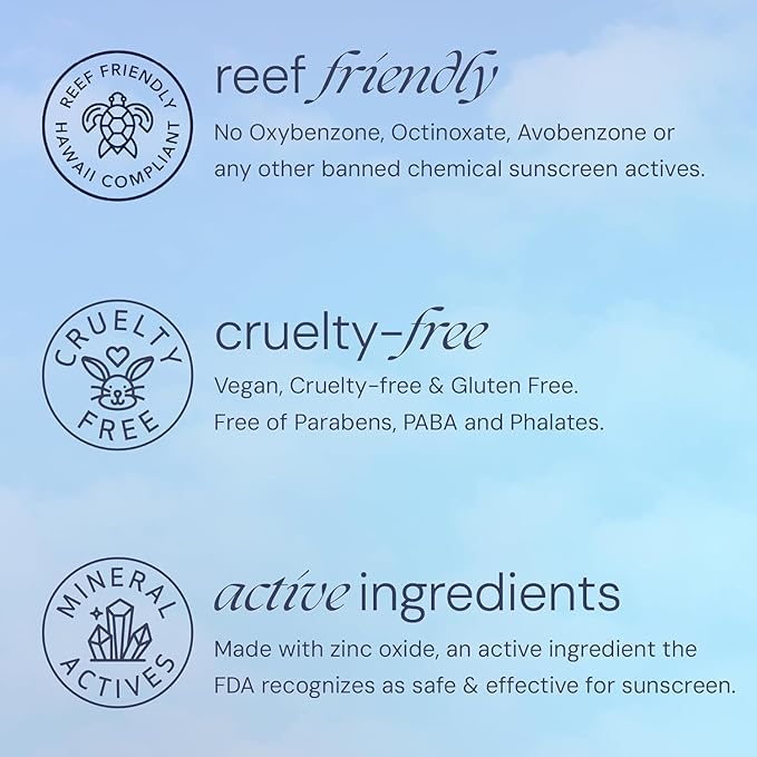 Brush On Block SPF 30 Mineral Powder Sunscreen Refill New Formula, With Niacinamide, Hyaluronic Acid, & Vitamin C, Broad Spectrum, Water Resistant, Reef Friendly (Touch of Tan Refill)