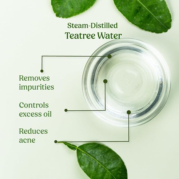Vilvah Store Teatree Water Facial Toner, 100ml (Pack of 1)