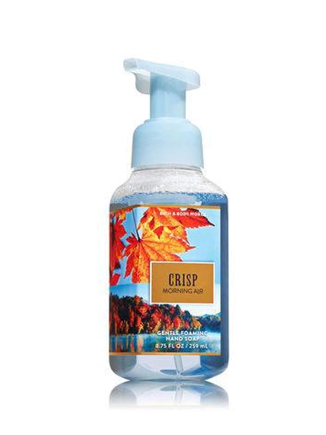 Bath and Body Works Gentle Foaming Hand Soap Crisp Morning Air