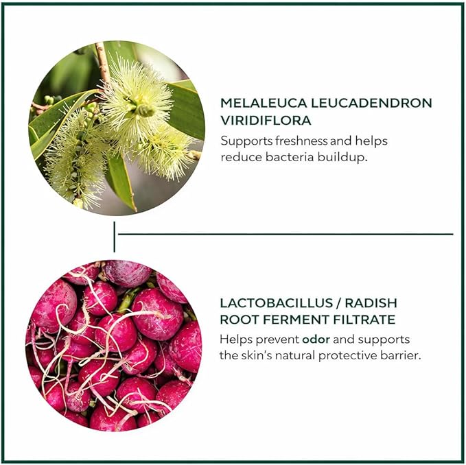 The Ceel Refreshing Facial Mist Toner with Niaouli Water – Hydrating & Soothing Face & Body Spray, Personal Care Mist, Alcohol-Free, Lightweight – 100 ml