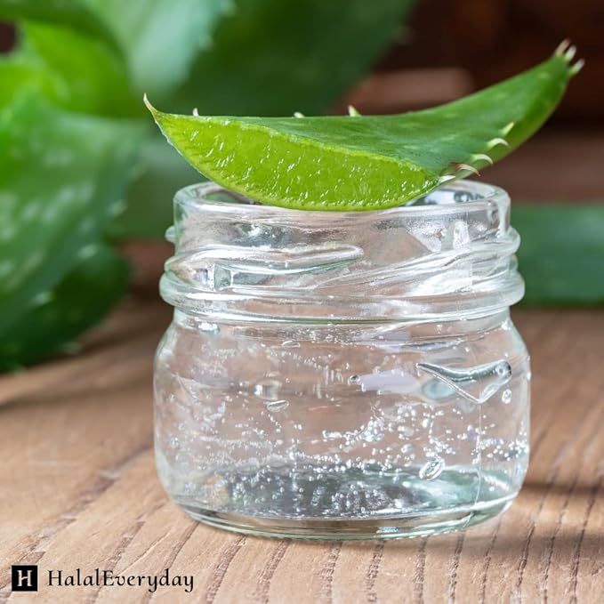 HalalEveryDay | 100% Pure Aloe Vera Gel | After Sun Care Soothe & Hydrate | Sun Burn Relief | Moisturizing | Vegan | 4 oz