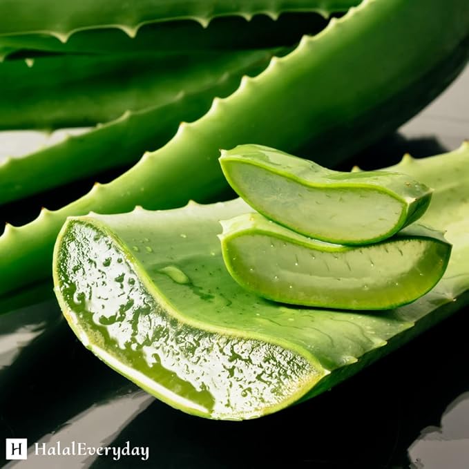 HalalEveryDay | 100% Pure Aloe Vera Gel | After Sun Care Soothe & Hydrate | Sun Burn Relief | Moisturizing | Vegan | 4 oz