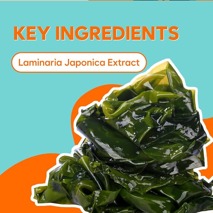 Kelp Treatment, for Dry and scalp and hair, Strengthening and Hydrating, Laminaria Japonica Extract, Korean Hair Care Product 16.9 fl.oz.(500ml), White