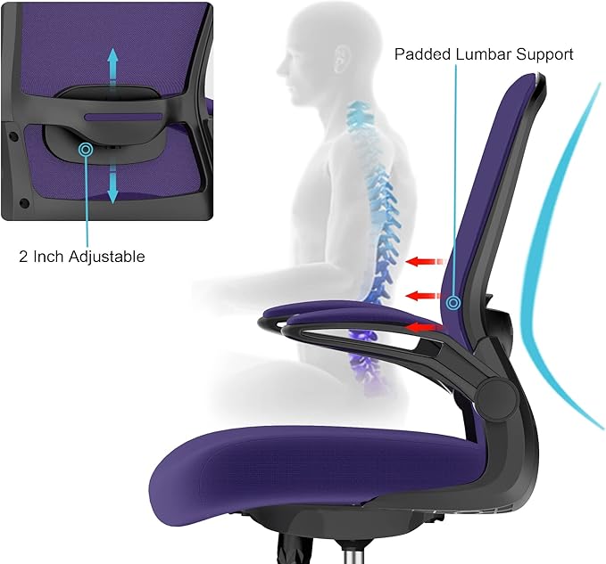 Mimoglad Office Chair, Ergonomic Desk Chair with Adjustable Lumbar Support, High Back Mesh Computer Chair with Flip-up Armrests- Task Chairs, Executive Chair for Home Office