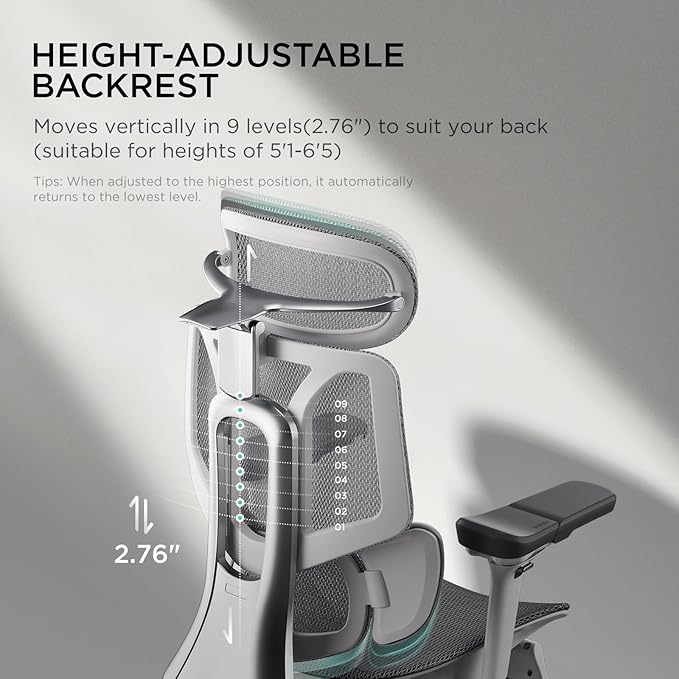 Hbada E3 Pro Ergonomic Office Chair, Big and Tall Office Chair - with 3-Zone Dynamic Lumbar Support, 4D Adjustable Headrest, 6D Adjustable Armrests, Swivel, Grey
