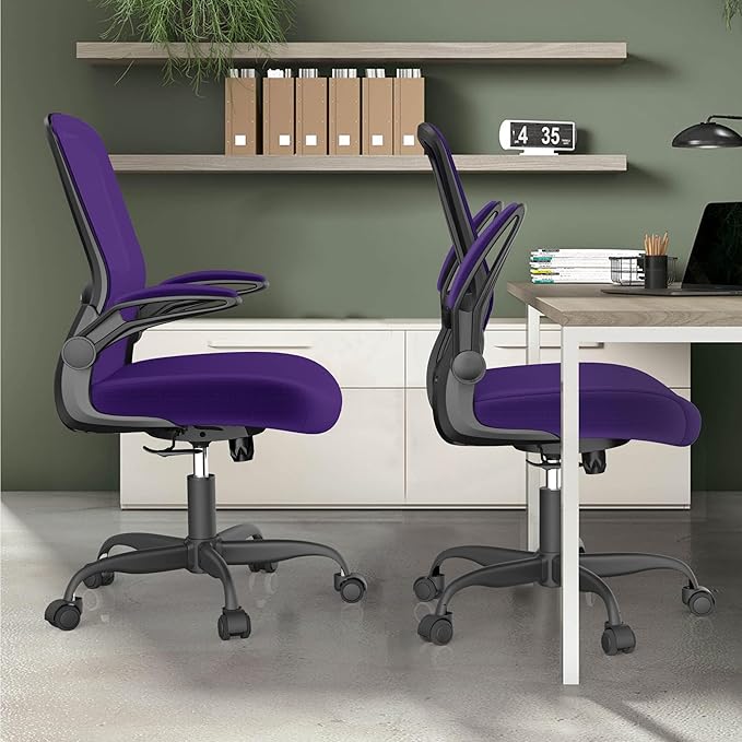 Mimoglad Office Chair, Ergonomic Desk Chair with Adjustable Lumbar Support, High Back Mesh Computer Chair with Flip-up Armrests- Task Chairs, Executive Chair for Home Office