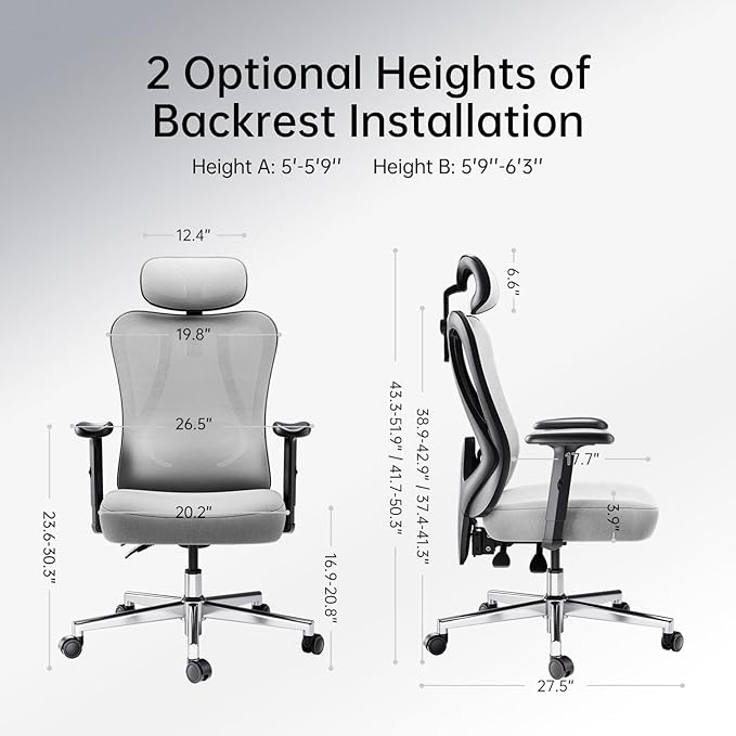 Hbada P3 Ergonnomic Office Chair with 2D Adjustable Lumbar Support, Office Chair with Adjustable Headrest and Armrest, 145° Stepless Tilt Function, Grey(No Footrest)