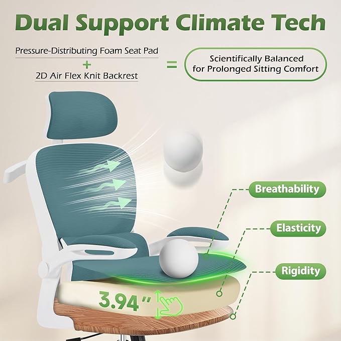 AreShark Office Chair Ergonomic Desk Chairs with Adjustable Lumbar Support& Headrest Hanger, High Back Breathable Mesh Chair with Wheels, Rolling Swivel Comfy Task Computer Chair for Home Work Gaming
