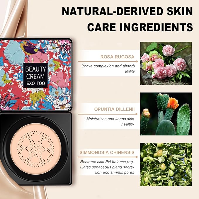 2 Pack Mushroom Head Air Cushion CC Cream Foundation, Moisturizing BB Cream, Long Lasting Matte Concealer with 2PCS Mushroom Head Sponges (Natural)…