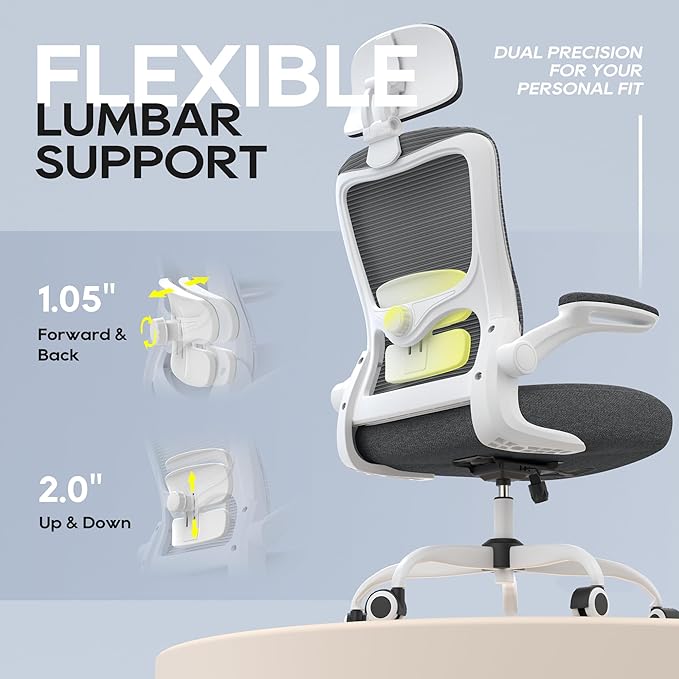Ergonomic Office Chair, High Back Mesh Desk Chair with Adjustable Lumbar Support & Headrest, Flip-up Armrest, Computer Task Chairs for Home and Executive Office (W-Dgrey)
