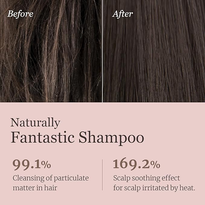 Wrap-Up Shampoo, Hydrating and Soothing Hair Shampoo with Probiotcs and Cica, Hair and Scalp Care for Sensitive Scalp, Smooth and Shiny Hair, Vegan, Silicone & Paraben Free, Korean Hair Care