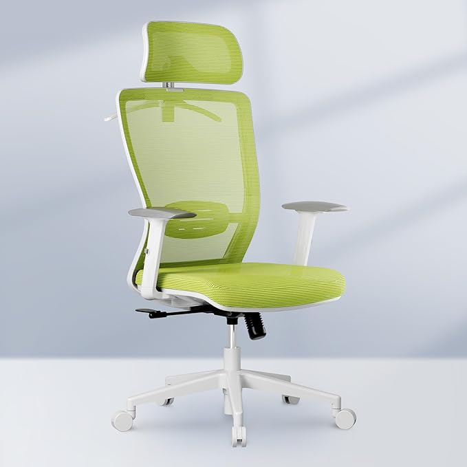 FLEXISPOT Ergonomic Office Chair Mesh Back Computer Chair Home Office Desk Chairs with Adjustable Lumbar Support/2D Headrest/Reliable Base, Elastic Foam Seat, Green, OC3 Cloud