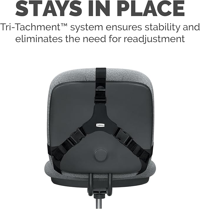 Fellowes Professional Series Back Support, Black (8037601)