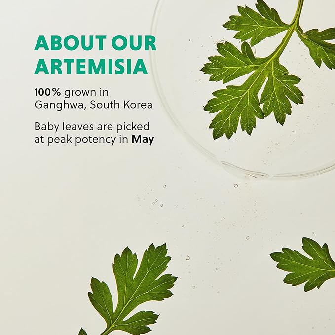 Hanyul Artemisia Soothing Gel Cream Moisturizer with Centella Asiatica and Niacinamide | Calming Water Cream | Cooling, Hydrating, Suitable for Sensitive & Acne-Prone Skin, 1.86 fl. oz.