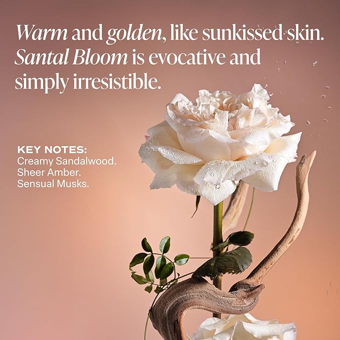 Saltair Santal Bloom Hydration & SPF Set – SPF 50 Dry Body Oil + Multi-Lipid Body Butter | Moisturizing, Nourishing & Sun-Protective Skin Care Duo