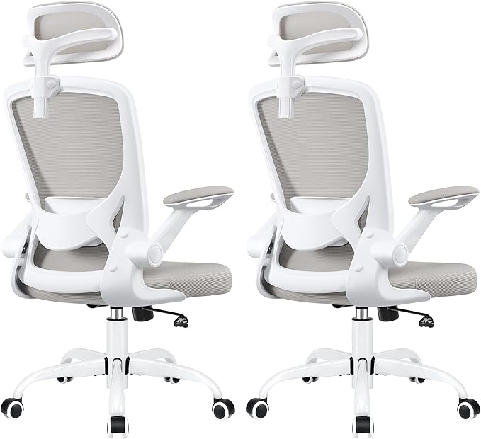 Office Desk Chair, Ergonomic Mesh Office Chair with Adjustable Lumbar Support, Headrest, Flip-up Armrests, Comfortable Computer Chairs for Home, Work, Gaming, (Light Gray, 2 Pack)