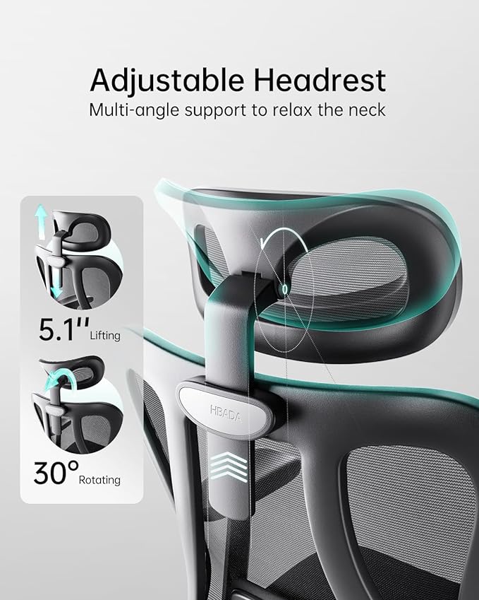 Hbada P3 Ergonnomic Office Chair with 2D Adjustable Lumbar Support, Office Chair with Adjustable Headrest and Armrest, 145° Stepless Tilt Function, Black(No Footrest)