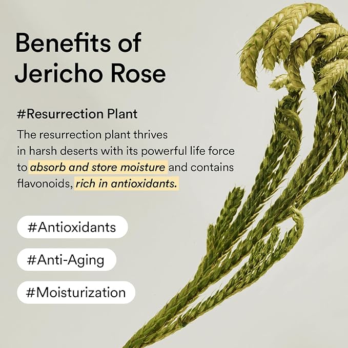 Abib Jericho Rose Cream 75ml - Hypoallergenic, Anti-Aging Moisturizer for Dry Skin