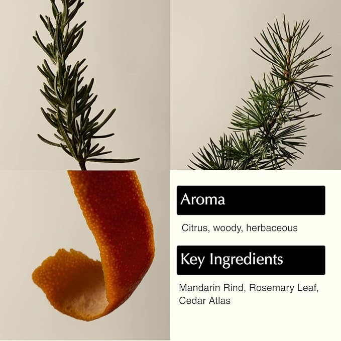 Aesop Resurrection Nourishing Hand Wash | Gentle Cleanser with Mandarin & Rosemary to Replenish & Hydrate Skin | 500mL / 16.9 oz (Pack of 3)