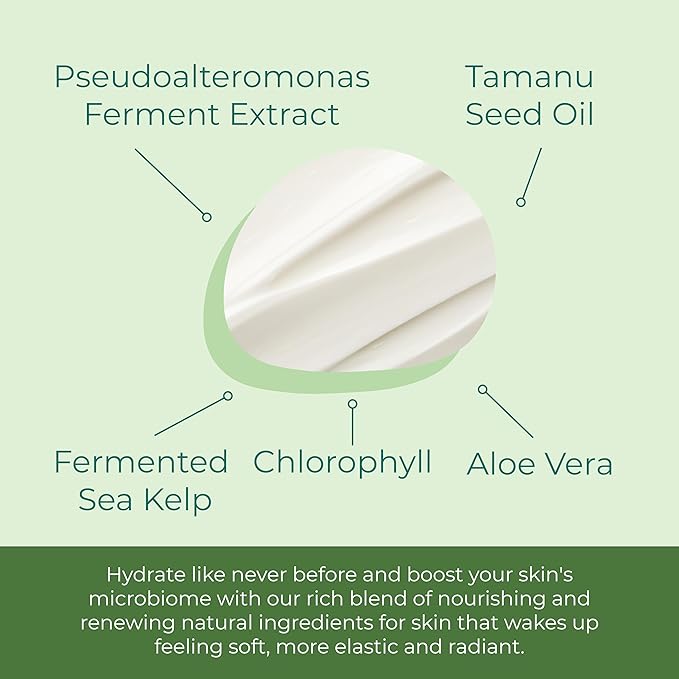 Sea-El Kelp Tamanu Oil Night Cream Hydrating Face Moisturizer Reparative Skin Softening Skincare - Nighttime Anti Aging Facial Lotion for Women & Men - 1 Oz