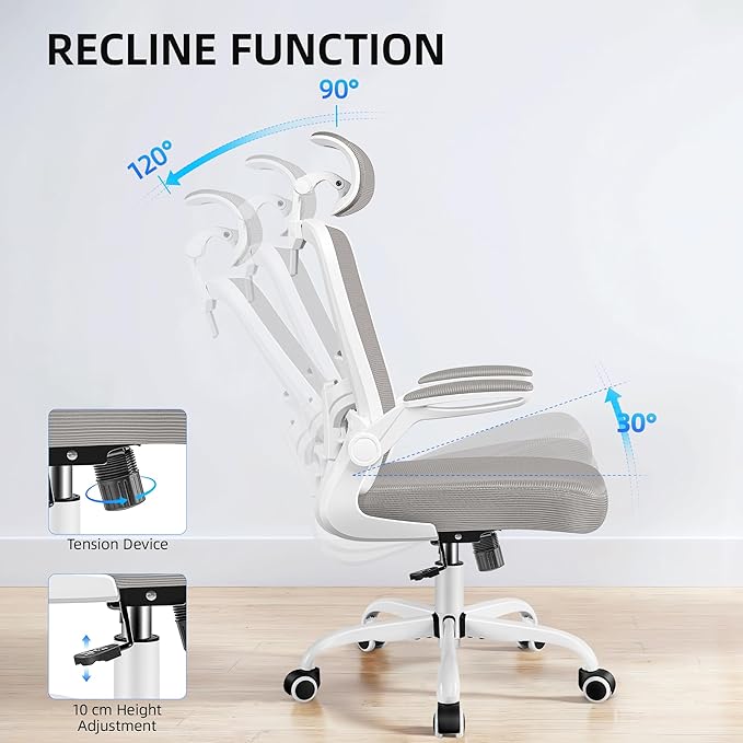 FelixKing Office Chair, Desk Chair with Adjustable Lumbar Support, Ergonomic Computer Chair with High Back and Armrest, Adjustable Height Gaming Chair Home Office Swivel Chair(Gray)