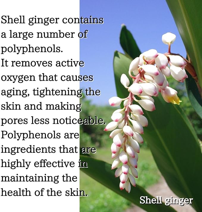 Hyakkaso Japan - Hyaluronic Acid Shell Ginger Facial Toner | Acne Care | All Skin Types | Moisturizing | Japanese Skincare | 200ml 6.76fl Oz (2) | hyakaso