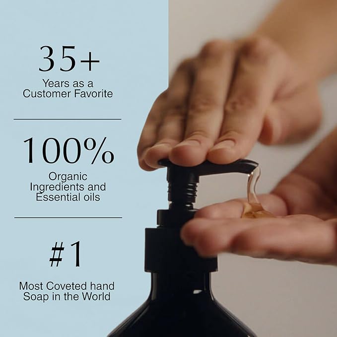 Aesop Reverence Aromatique Exfoliating Hand Wash | Exfoliating Hand Soap with Finely Milled Pumice | Gentle Cleansing & Skin-Smoothing Formula with Vetiver, Petitgrain & Bergamot | 500mL / 16.9 oz