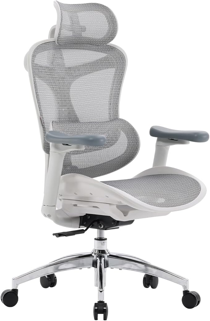 SIHOO Doro C300 Ergonomic Office Chair with Ultra Soft 3D Armrests, Dynamic Lumbar Support for Home Office Chair, Adjustable Backrest Desk Chair, Swivel Big and Tall Computer Chair (Grey)