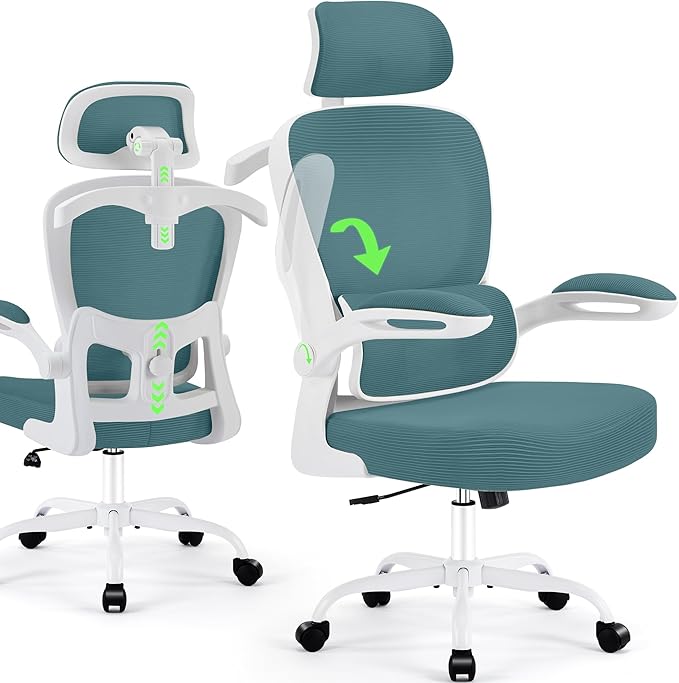 AreShark Office Chair Ergonomic Desk Chairs with Adjustable Lumbar Support& Headrest Hanger, High Back Breathable Mesh Chair with Wheels, Rolling Swivel Comfy Task Computer Chair for Home Work Gaming
