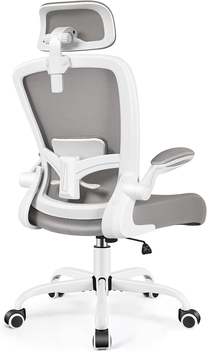 FelixKing Office Chair, Desk Chair with Adjustable Lumbar Support, Ergonomic Computer Chair with High Back and Armrest, Adjustable Height Gaming Chair Home Office Swivel Chair(Gray)