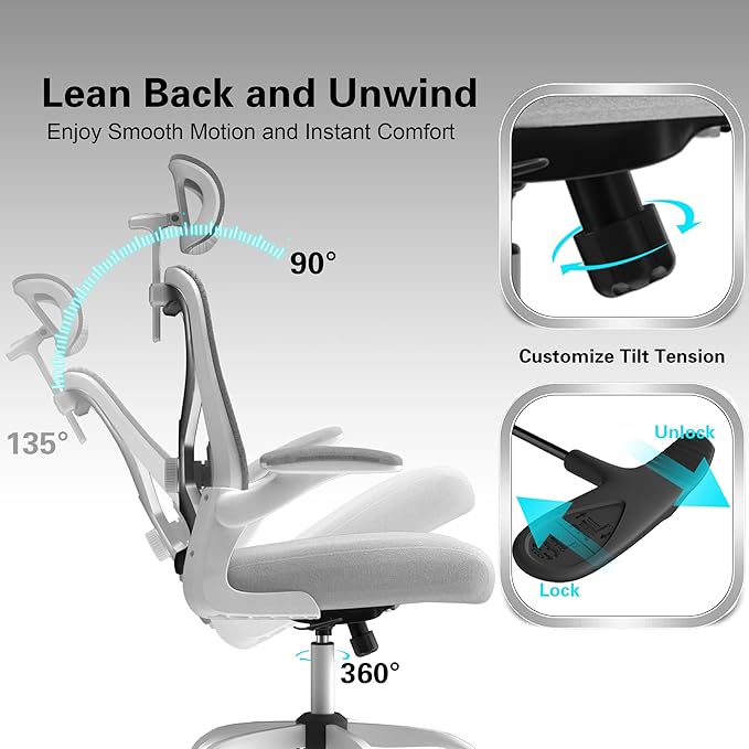 Ergonomic Office Chair for Back & Neck Pain Relief, Virgin Foam Seat, 2D Adjustable Lumbar & 3D Headrest, Tilt & Rock for Relaxation, Ideal for Long Sitting Comfort, Gray/Silver