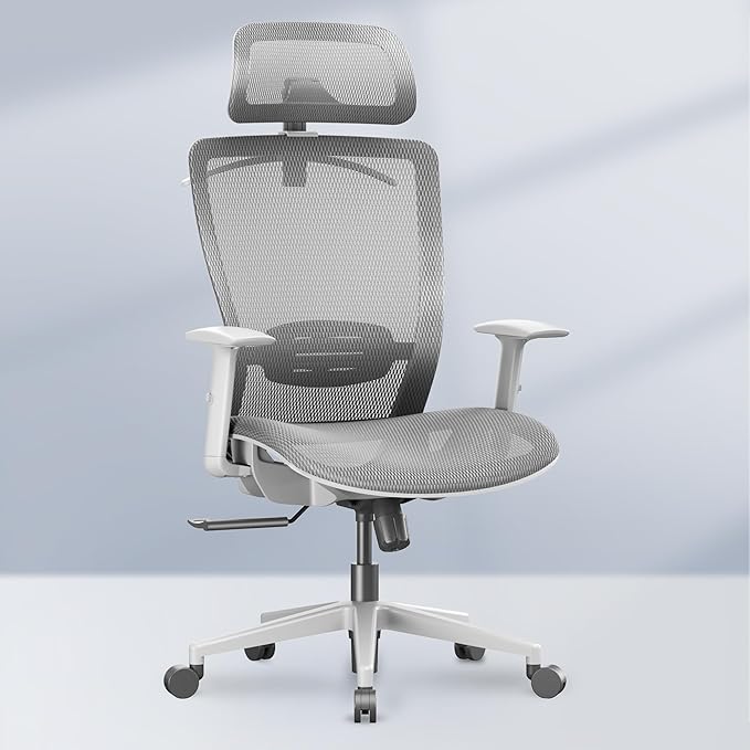 FLEXISPOT OC3 Air Ergonomic Office Chair High Back Computer Chair with Adjustable Lumbar Support/Armrest/, Breathable Mesh Seat Cushion Backrest, Chairs for Home Office Gaming Working, Light Gray
