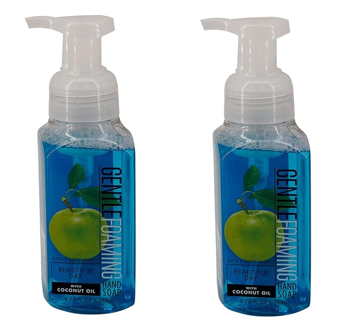Beautiful Day Gentle Foaming Hand Soap (2 Pack, 8.75 oz each)