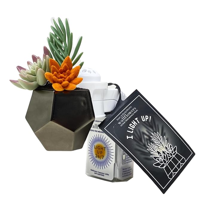 Bath & Body Works Plug Geo Succulent Nightlight Wallflowers Fragrance Plug and a Strawberry Lip Balm.