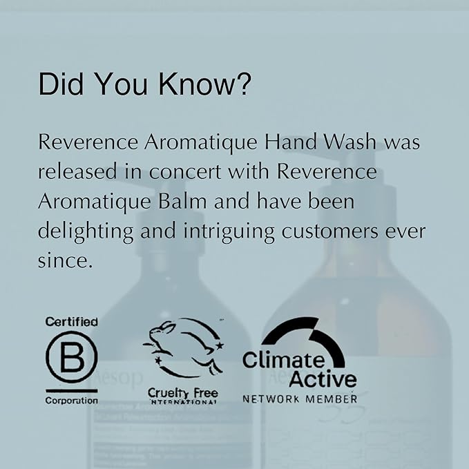Aesop Reverence Aromatique Exfoliating Hand Wash | Exfoliating Hand Soap with Finely Milled Pumice | Gentle Cleansing & Skin-Smoothing Formula with Vetiver, Petitgrain & Bergamot | 500mL / 16.9 oz