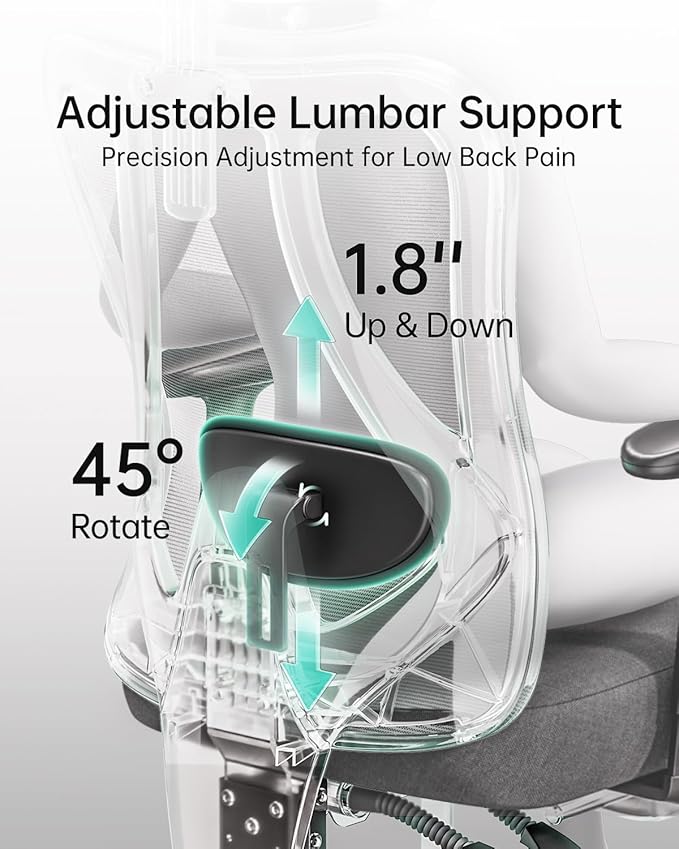 Hbada P3 Ergonnomic Office Chair with 2D Adjustable Lumbar Support, Office Chair with Adjustable Headrest and Armrest, 145° Stepless Tilt Function, Black(No Footrest)