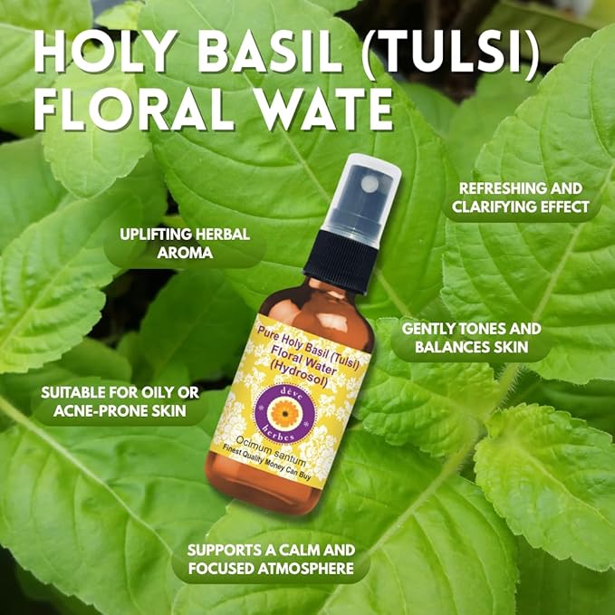 Deve Herbes Pure Holy Basil (Tulsi) Floral Water (Hydrosol) (Ocimum santum) 100% Natural Therapeutic Grade 100ml (3.38 oz)