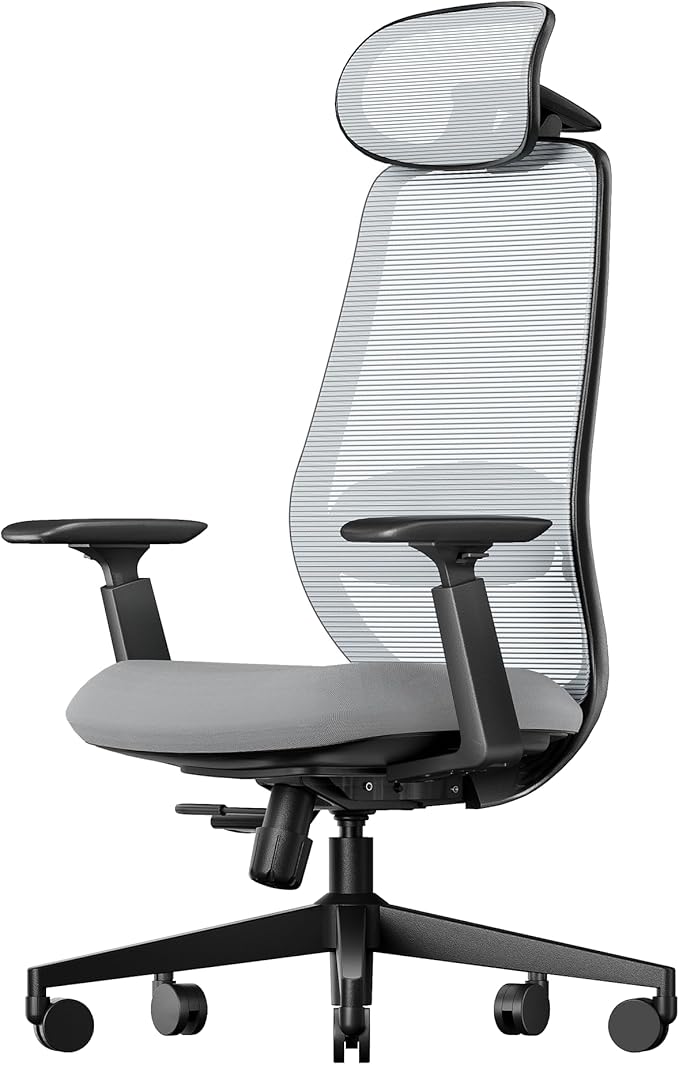 ProtoArc Ergonomic Office Chair – EC200 High-Back Mesh Computer Chair with Lumbar Support, 3D Adjustable Headrest & Sliding Seat for 8+ Hour Comfort, Big & Tall Home Office Desk Chairs - Gray